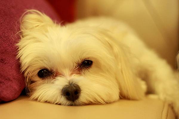 IMG_8149 IMG_8149