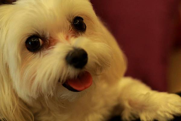 IMG_8140 IMG_8140