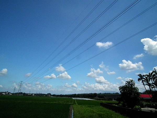 DSCF9471 DSCF9471