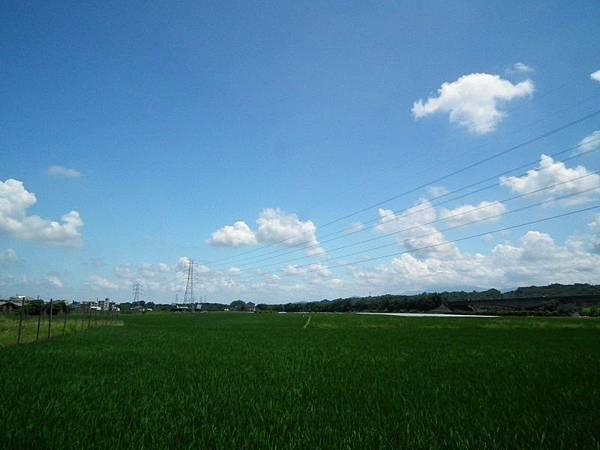 DSCF9474 DSCF9474