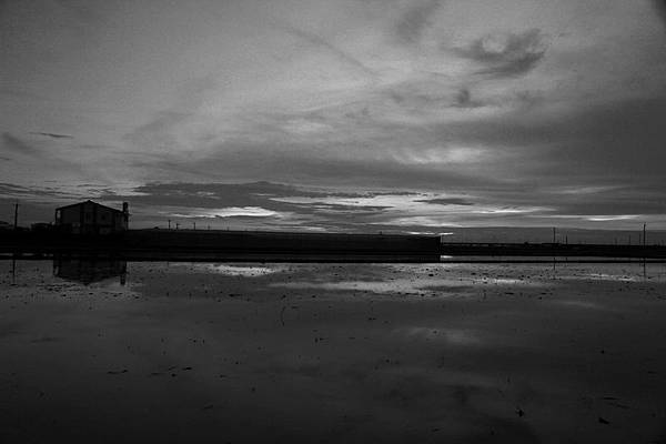 IMG_8229 IMG_8229