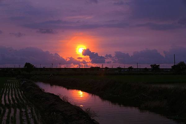 IMG_8474 IMG_8474