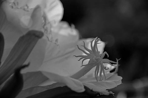 IMG_0483 IMG_0483