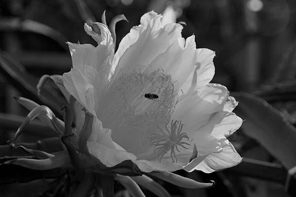 IMG_0492 IMG_0492