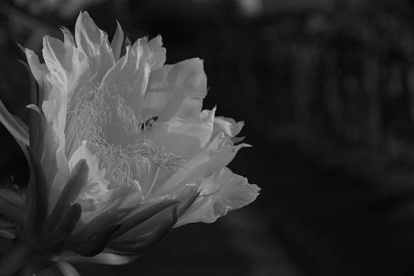 IMG_0507 IMG_0507