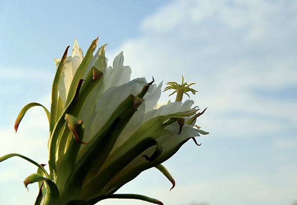 IMG_0493 IMG_0493