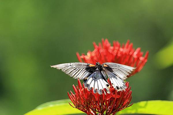 IMG_9844 IMG_9844