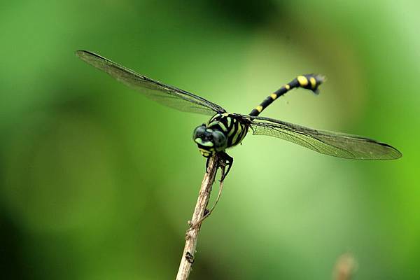 IMG_9902 IMG_9902
