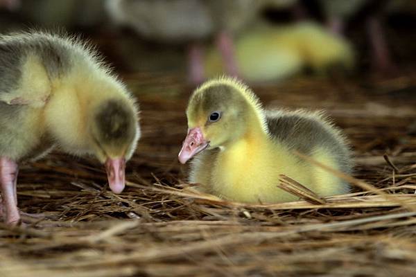 IMG_2565 IMG_2565