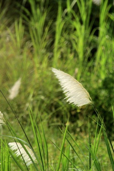 IMG_5034 IMG_5034
