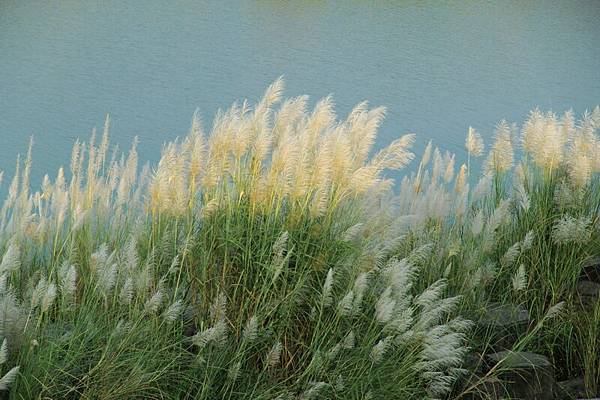 IMG_3279 IMG_3279