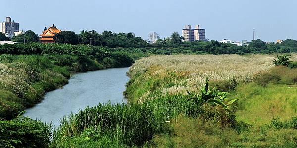 IMG_4978 IMG_4978