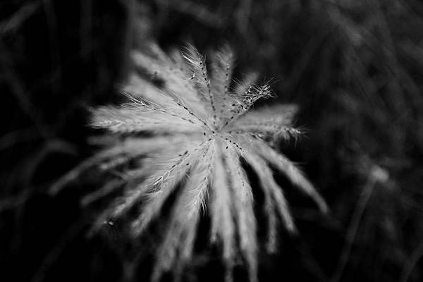 IMG_3303 IMG_3303
