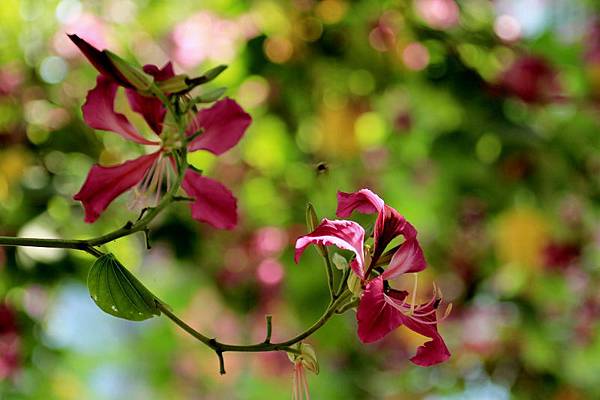 IMG_7540 IMG_7540