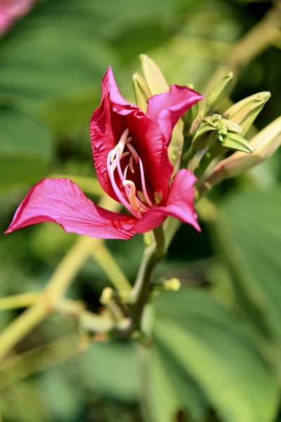 IMG_7578 IMG_7578