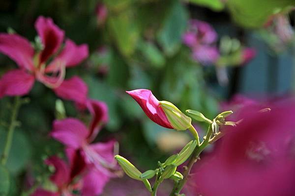 IMG_7549 IMG_7549