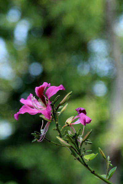IMG_7542 IMG_7542