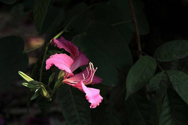 IMG_7574 IMG_7574