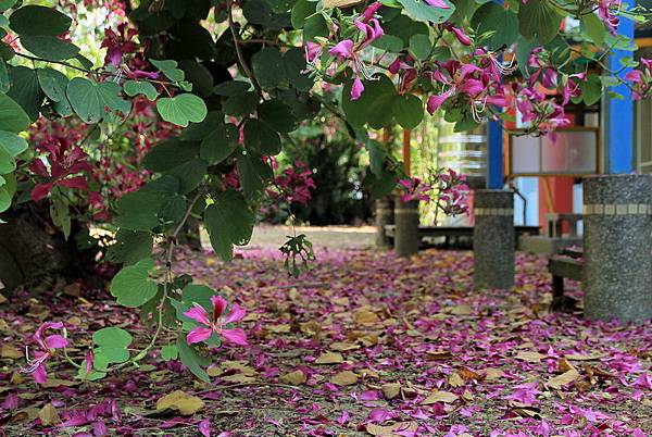 IMG_7548 IMG_7548