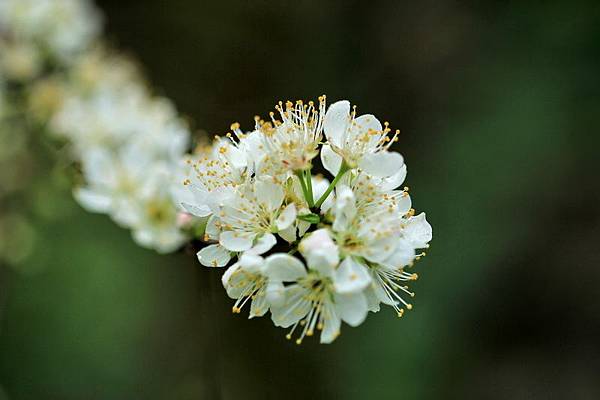 IMG_3273 IMG_3273