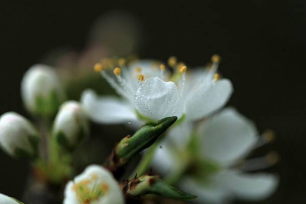 IMG_3275 IMG_3275