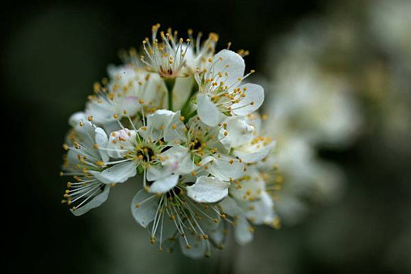 IMG_3265 IMG_3265