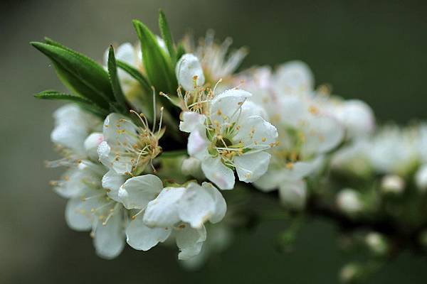 IMG_3266 IMG_3266