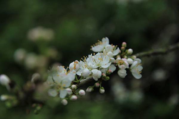 IMG_3285 IMG_3285