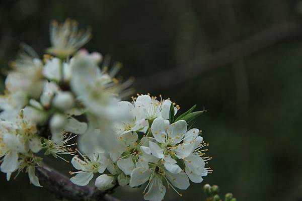 IMG_3294 IMG_3294