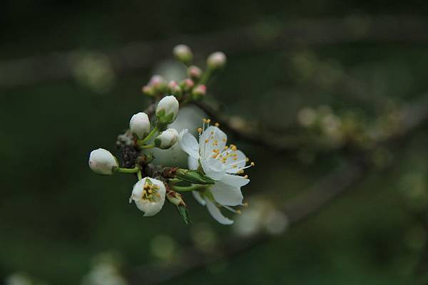 IMG_3287 IMG_3287