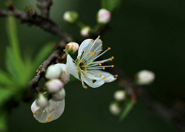 IMG_3237 IMG_3237