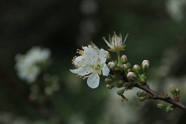 IMG_3293 IMG_3293
