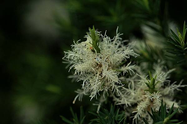 IMG_2170 IMG_2170