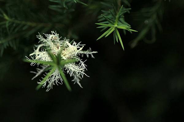 IMG_2165 IMG_2165