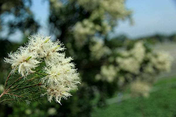 IMG_2150 IMG_2150