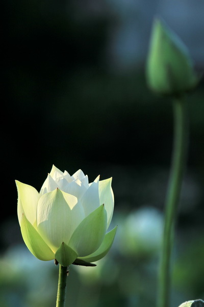 IMG_5004 IMG_5004