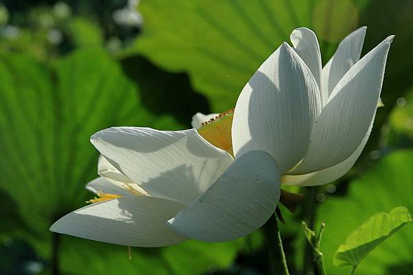 IMG_5103 IMG_5103