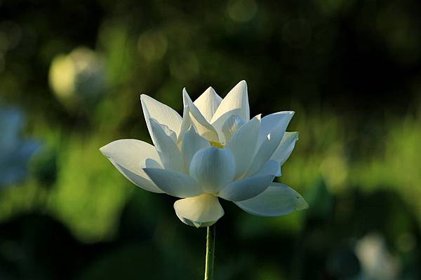 IMG_5000 IMG_5000