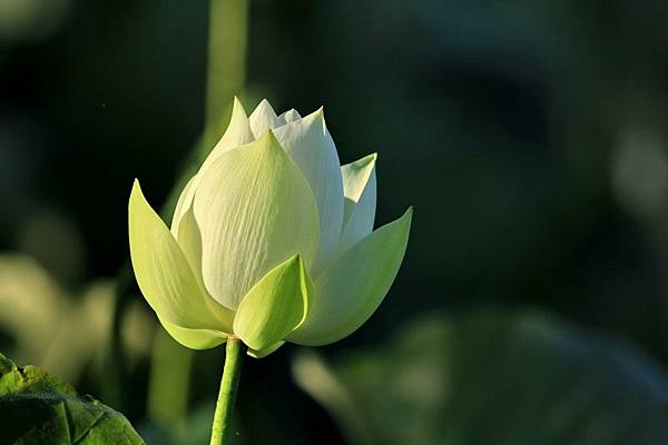 IMG_5015 IMG_5015