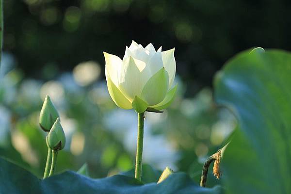 IMG_5011 IMG_5011