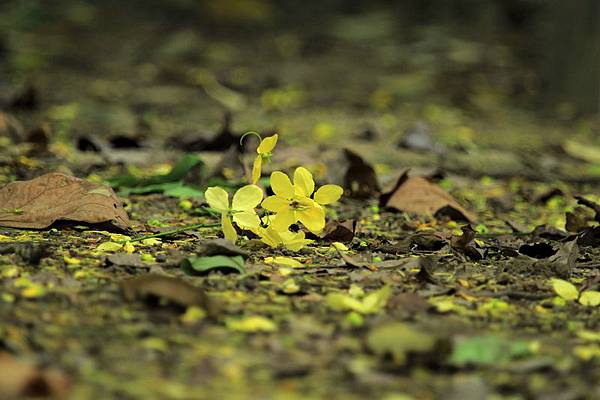 IMG_7857 IMG_7857