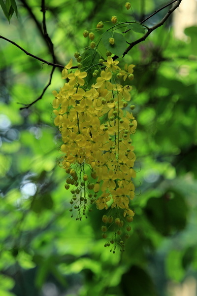 IMG_7841 IMG_7841