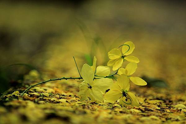 IMG_7863 IMG_7863