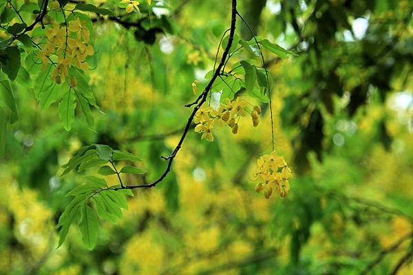 IMG_7027 IMG_7027