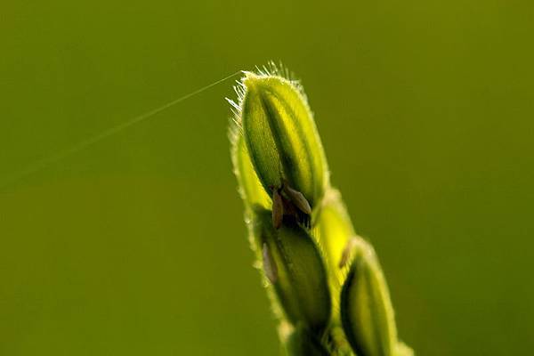 IMG_4333 IMG_4333