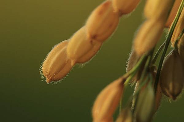 IMG_7338 IMG_7338