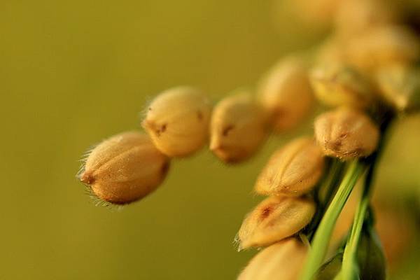 IMG_7321 IMG_7321