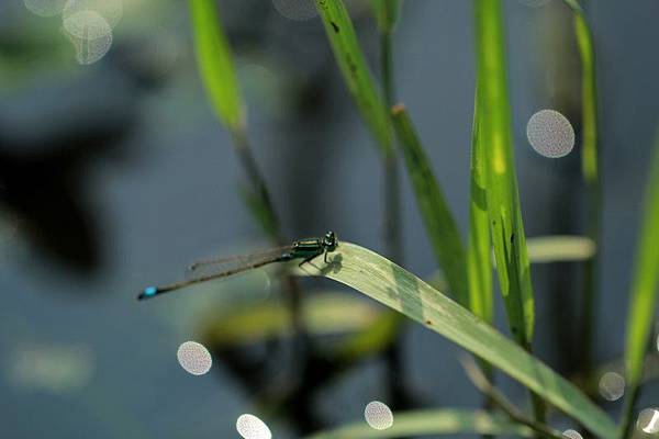 IMG_2341 IMG_2341