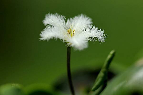 IMG_2226 IMG_2226