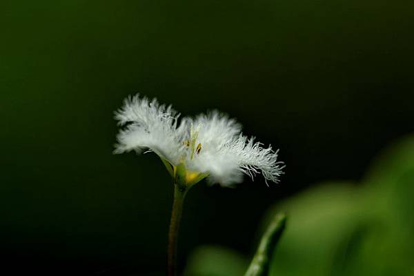 IMG_2227 IMG_2227
